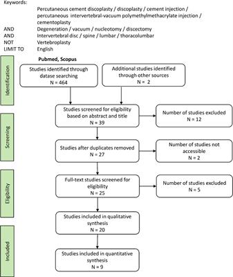 Critical Review of the State-of-the-Art on Lumbar Percutaneous Cement Discoplasty